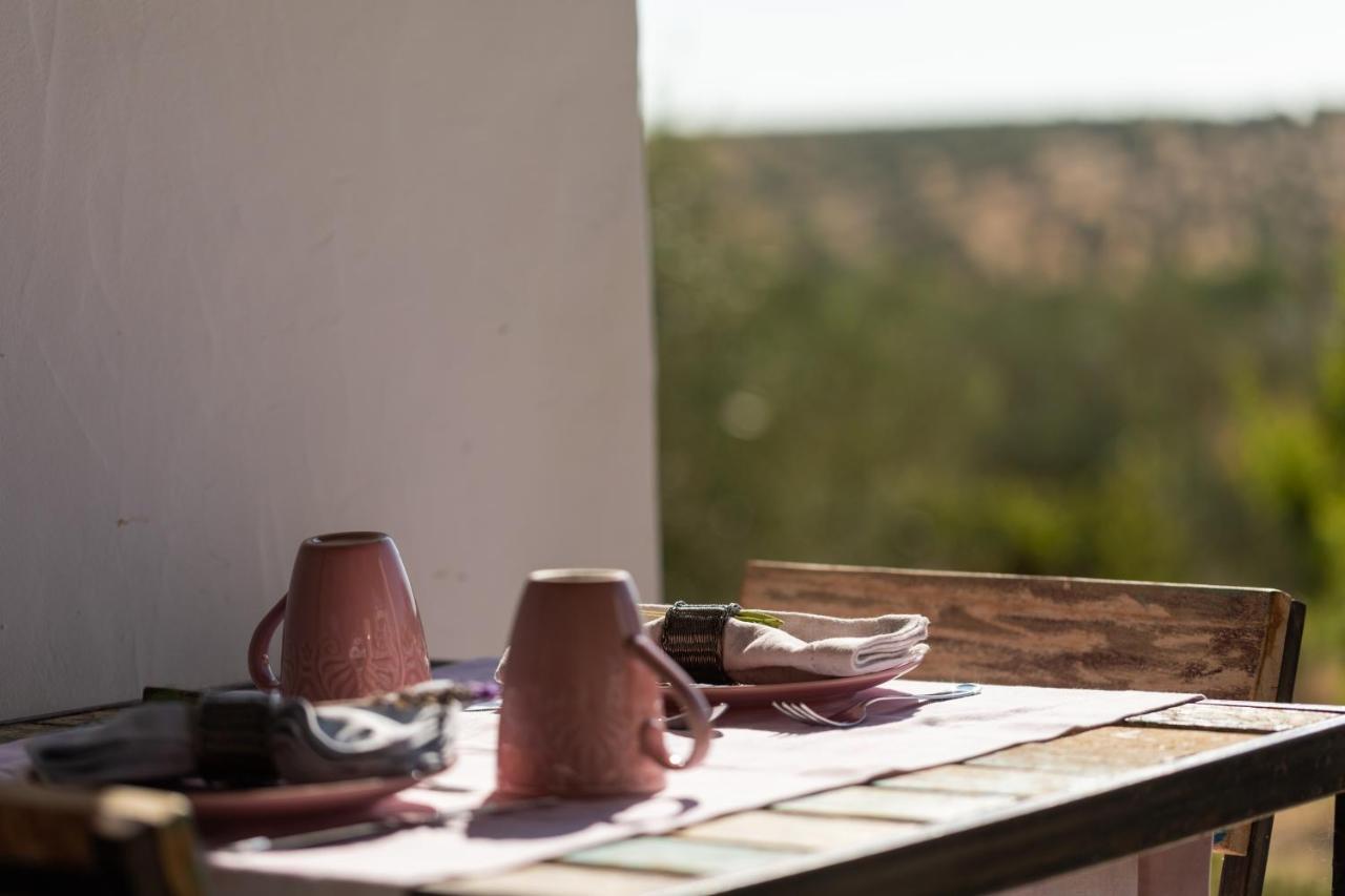 Monte Da Estrela - Country House & Spa Moura Ngoại thất bức ảnh